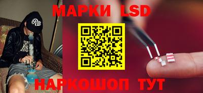 гидропоника Ставрополь