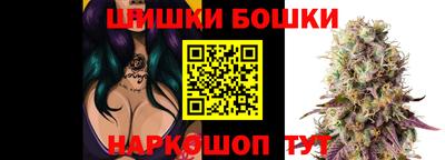 гидропоника Ставрополь