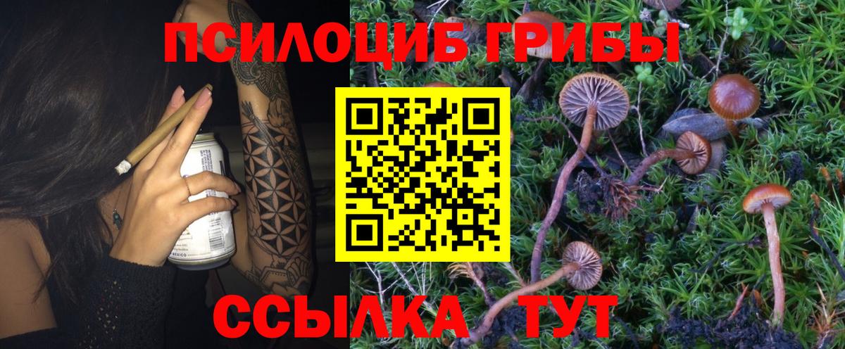 Заринск  Галлюциногенные грибы ЛСД  Вход с VPN  Галлюциногенные грибы Psilocybine cubensis 