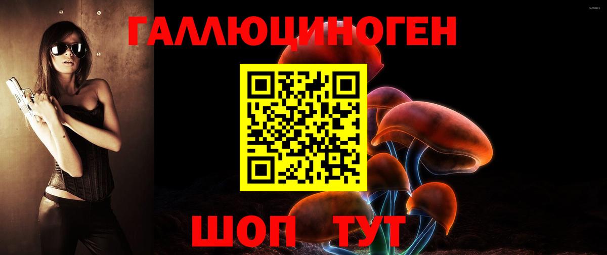 Галлюциногенные грибы Psilocybine cubensis Заринск